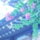 さるすべり