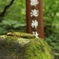雨上がり登山1