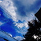 秋の空