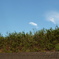 P1000689
