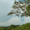 P1000691