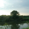 P1000692