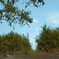 P1000696