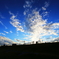 鯨ノ背中ノ上ノ雲
