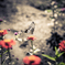 Solitude standing