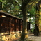 神社の裏手