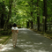 『greeeen』