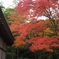 常寂光寺