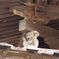 法隆寺