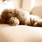 DSC00133