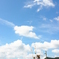 夏もそろそろ…