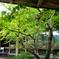 DSC00976