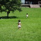 20120826DSC00840