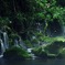 苔むす元滝