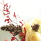 a flower 10
