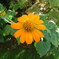 DSCF0659