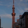 夕方のスカイツリー