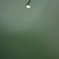 雨