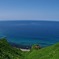 夏の海