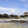 禁断の島5