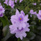 SDIM0059
