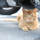 20120909_0077_5D3