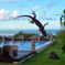 Resort Island