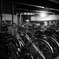 SDIM1227