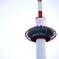 TOWERブーム