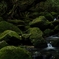 沢