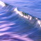 bluewave