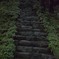 岐阜へ