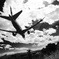 itami 14R Landing