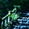 Stairs in the Forest