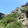 北上山地の鶏頭山