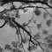 EPSN0598