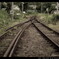 田舎の線路