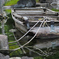ship.1