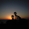 夕陽
