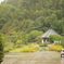 雨と公園