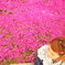芝桜