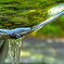 DSC01625b
