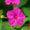DSC00354