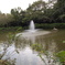 公園内