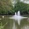 公園内
