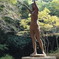 公園内