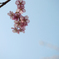 photo_2096827