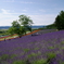 想い出の北海道6（2006/7）