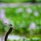 photo_2098655
