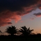 夕陽